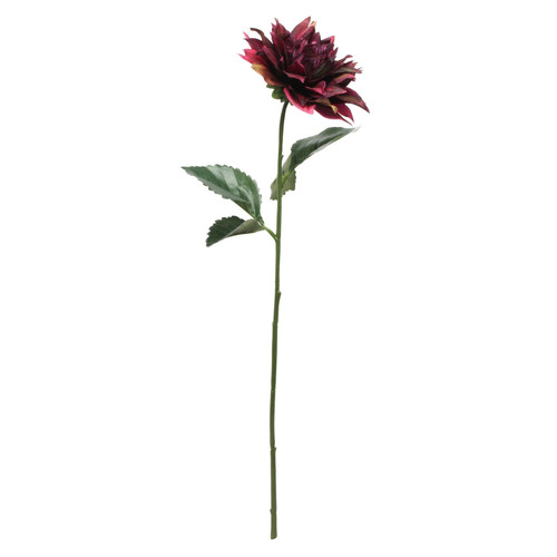 Glamis Single Dahlia Burgundy (61cm) Glamis Single Dahlia Burgundy (61cm)