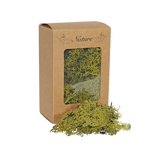 Reindeer Moss Green in Box (100g) Reindeer Moss Green in Box (100g)