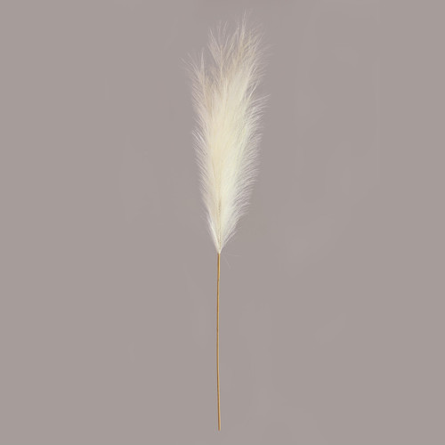 Luxury White Pampas Grass