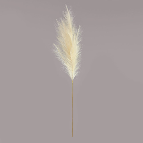 Luxury Ivory Pampas Grass 