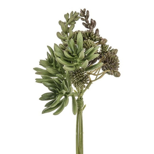 Succulent Mixed Bundle (20cm) Succulent Mixed Bundle (20cm)
