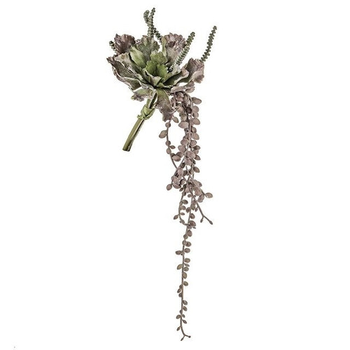 Trailing Succulent Bundle Purple (23cm) Trailing Succulent Bundle Purple (23cm)
