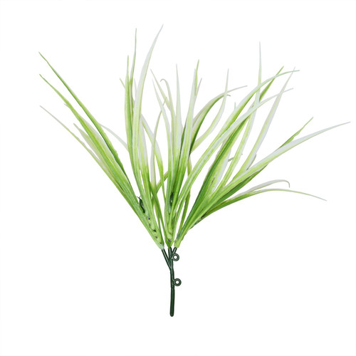 White Hardy Grass (30cm) 