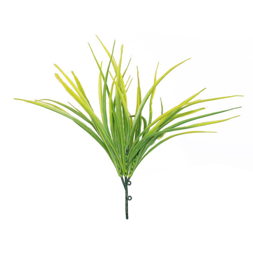 Yellow Hardy Grass (30cm) 