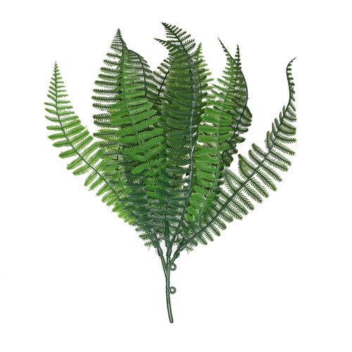 Green Shady Fern (30cm) Green Shady Fern (30cm)