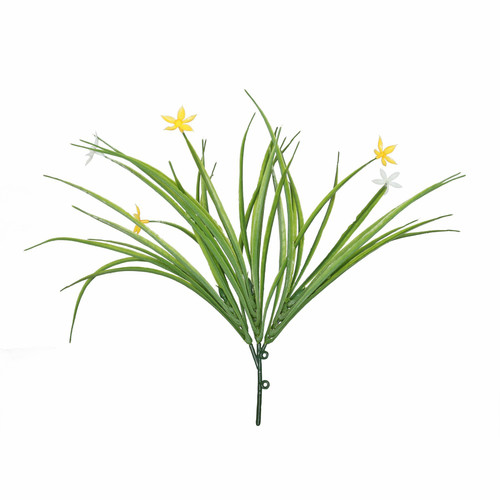 Firework Bush (30cm) Firework Bush (30cm)