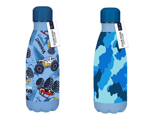 Assorted Boys Printed Metal Water Bottle (350ml)