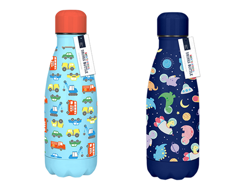 Boys Printed Metal Water Bottle (350ml) (Assorted Designs)