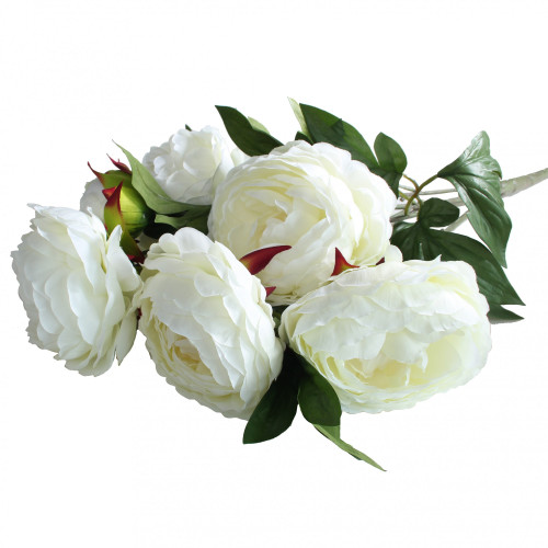 Peony Bush X 5 2 Buds Cream Peony Bush X 5 2 Buds Cream