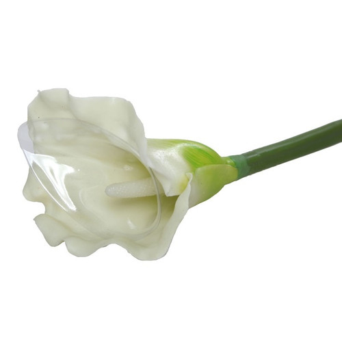 Large Calla Lily Cream/green Large Calla Lily Cream/green