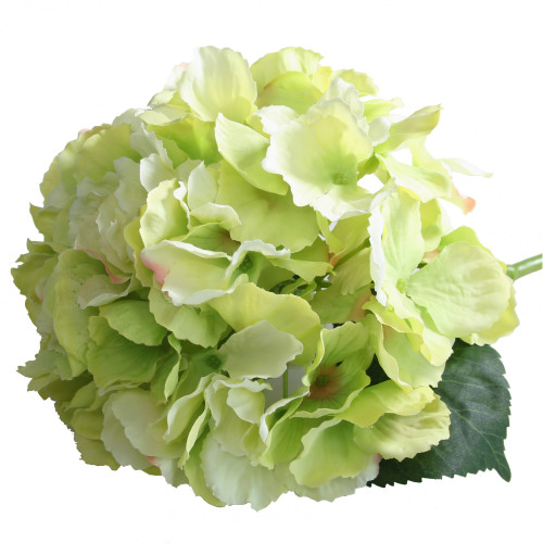 Short Stem Hydrangea Spring Green 