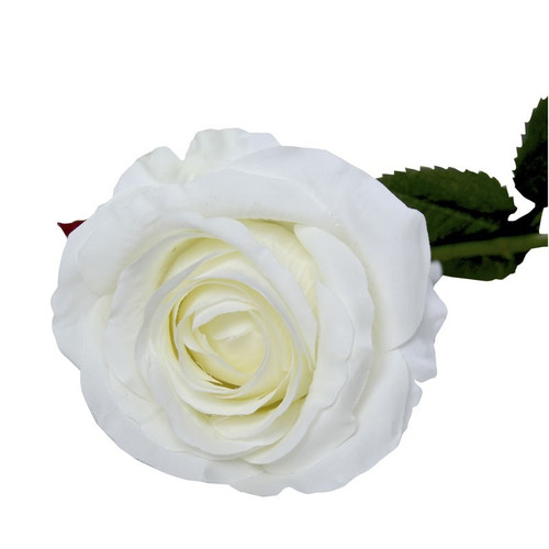 Small Camelot Open Rose Bridal Ivory 