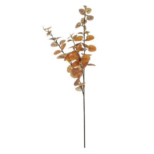 Essential Autumn Eucalyptus Stem - Brown Essential Autumn Eucalyptus Stem - Brown