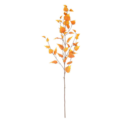 Yellow Glamis Birch (96cm) Yellow Glamis Birch (96cm)