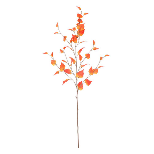 Orange Glamis Birch (96cm) Orange Glamis Birch (96cm)