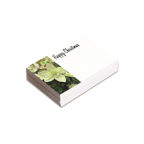 Christmas Hellebore Florist Card (Pack of 25) Christmas Hellebore Florist Card (Pack of 25)