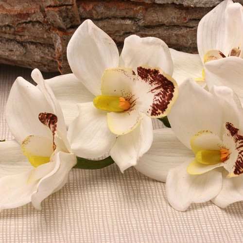 Real Touch Large Cymbidium With 9 Flowers White (36 Inch) Real Touch Large Cymbidium With 9 Flowers White (36 Inch)