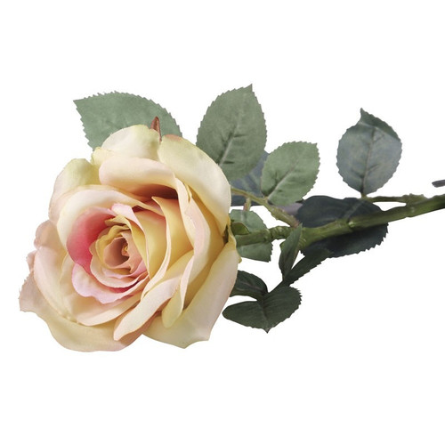 Olivia Rose Cream Blush (72cm) Olivia Rose Cream Blush (72cm)
