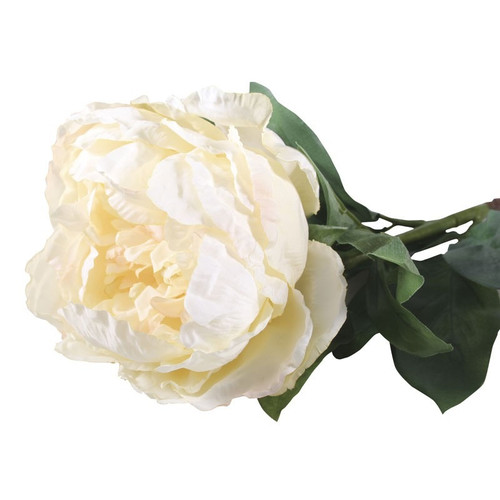 Single Peony Cream  (71cm)