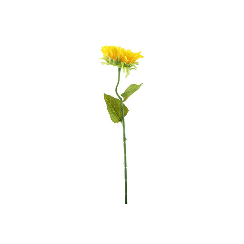 Essential Yellow Sunflower Essential Yellow Sunflower