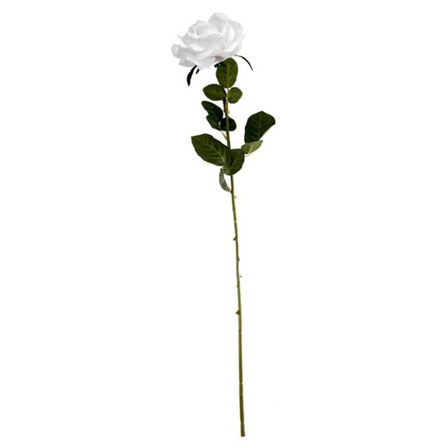 Arundel Open Rose White Arundel Open Rose White