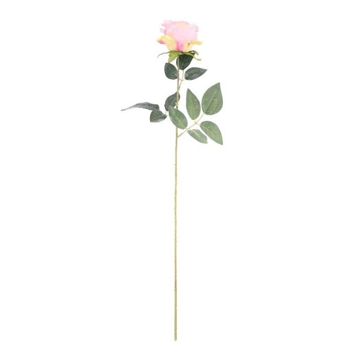 Arundel Rose Dusky Pink Arundel Rose Dusky Pink