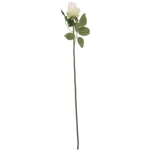 Arundel Rose Bud Cream Arundel Rose Bud Cream
