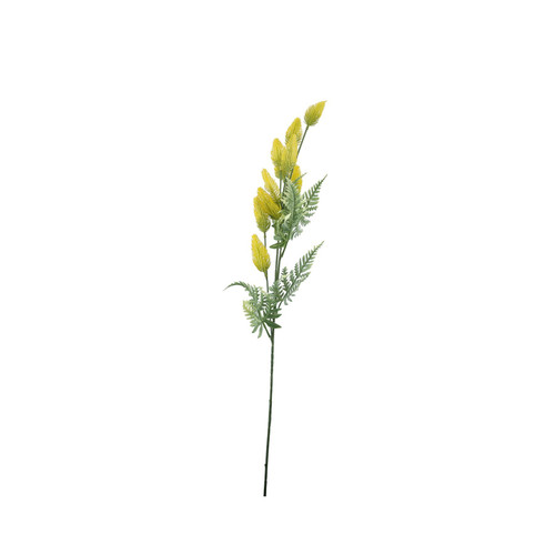 Essential Yellow Thistle Essential Yellow Thistle