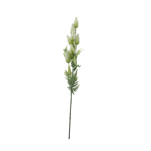 Essential White Thistle Essential White Thistle