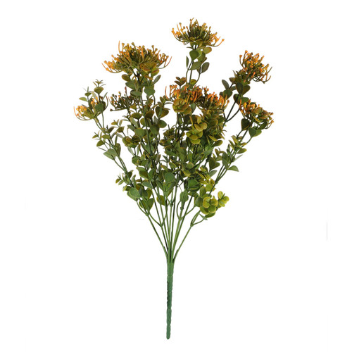 Essential Orange Sedum Bush 