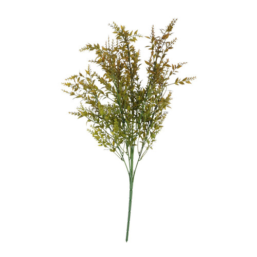 Essential Orange Mini Ruscus Bush 