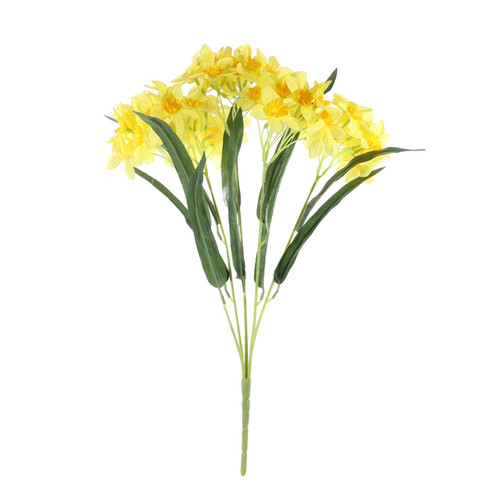Essential Yellow Narcissus Bush with Leaves 