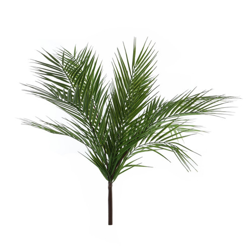 Essential Large Palm Plant Essential Large Palm Plant