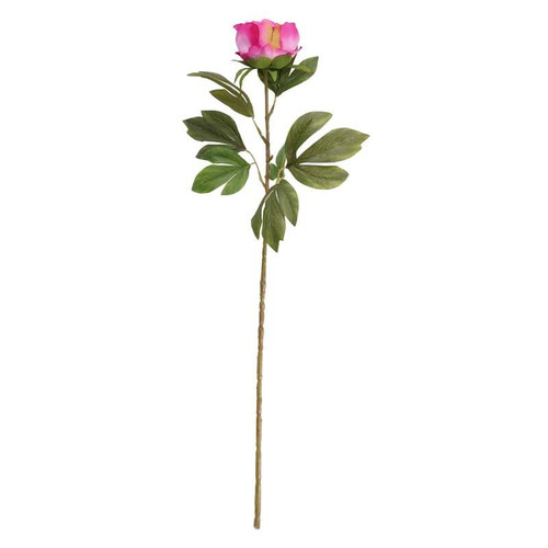 Peony Cerise Peony Cerise