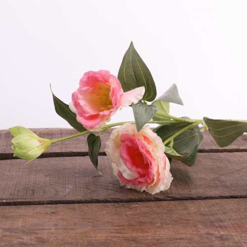 Pink Lisianthus Spray Pink Lisianthus Spray