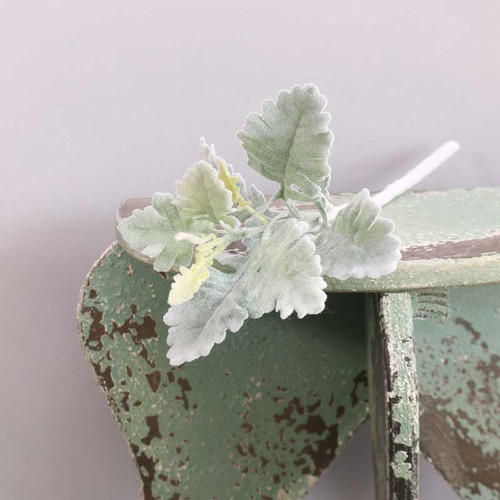 Short Stem Dusty Miller Green (33cm) Short Stem Dusty Miller Green (33cm)