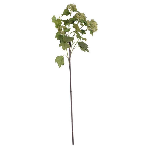 Viburnum Spray Green Viburnum Spray Green