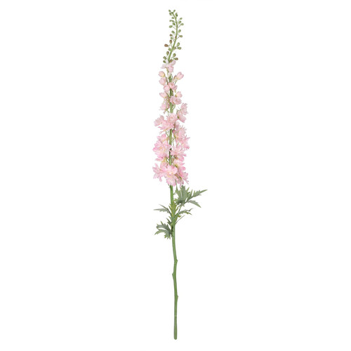 Botanica Giant Pink Delphinium (137cm) Botanica Giant Pink Delphinium (137cm)