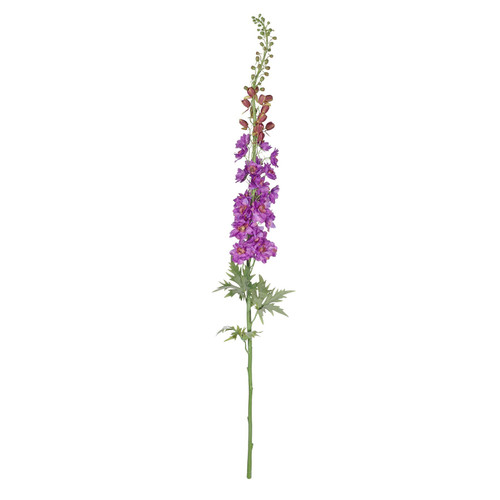 Botanica Giant Violet Delphinium (137cm) Botanica Giant Violet Delphinium (137cm)