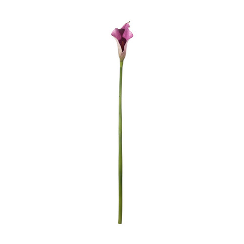 Botanica Purple Calla Lily (60cm) Botanica Purple Calla Lily (60cm)