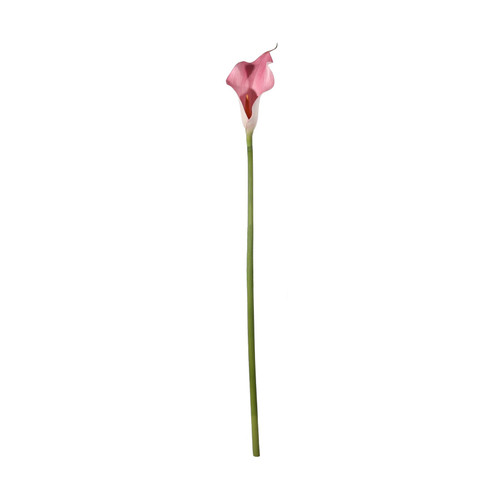 Botanica Pink Calla Lily (60cm) Botanica Pink Calla Lily (60cm)