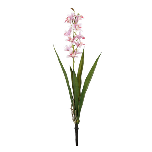 Botanica Mini Pink Cymbidium Plant (45cm) Botanica Mini Pink Cymbidium Plant (45cm)
