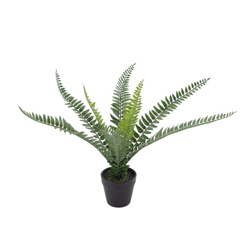 Botanica Fern Plant 8 Fronds (35cm) Botanica Fern Plant 8 Fronds (35cm)