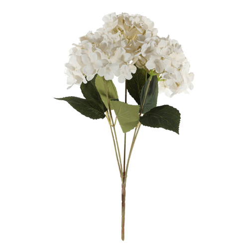 Cream Hydrangea Bush (36cm)