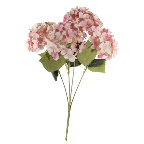 Essential Pink Hydrangea Bush (36cm)