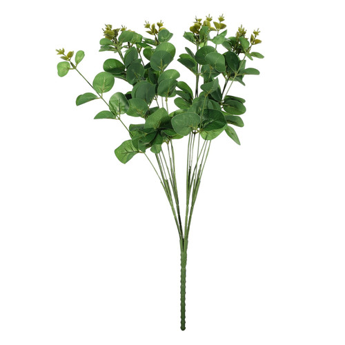Dark Green Eucalyptus Bush Dark Green Eucalyptus Bush