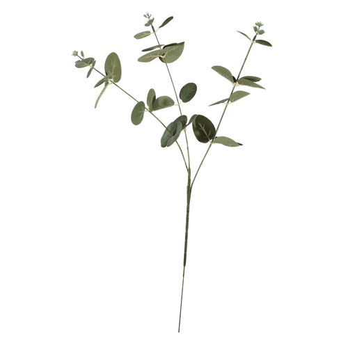 Essential Silver/Green Eucalyptus