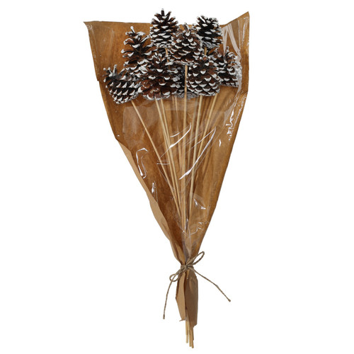 White Tipped Pine Cone Pick 50cm (Pack of 12) White Tipped Pine Cone Pick 50cm (Pack of 12)