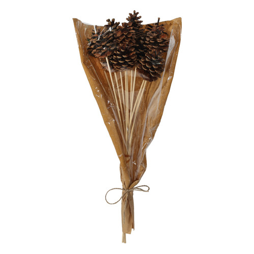 Natural Pine Cone Pick 50cm (Pack of 12) Natural Pine Cone Pick 50cm (Pack of 12)