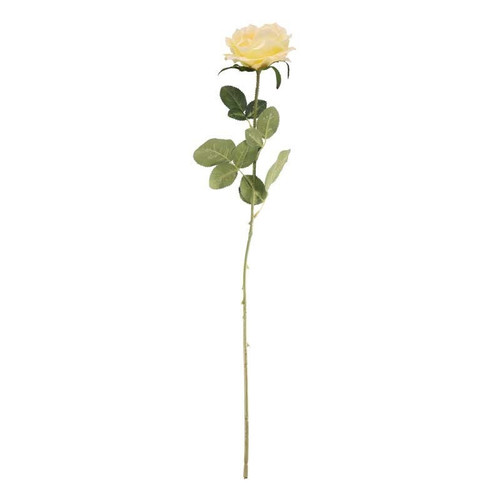 Arundel Open Rose Yellow Arundel Open Rose Yellow